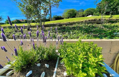 Suite con Baño Privado y Vistas al Mar en Bermeo - Foto 18
