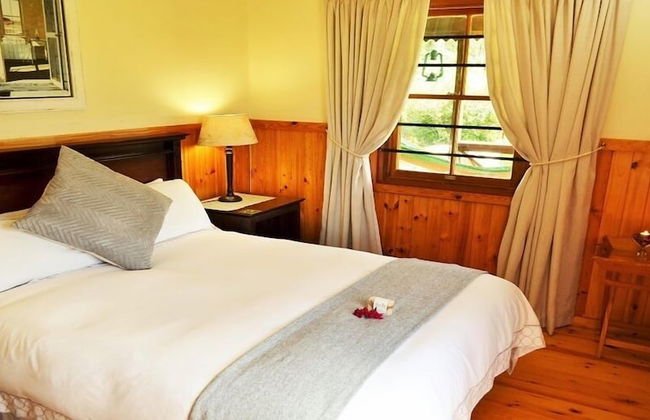 Forest Edge - Foto 13