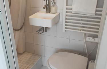 CENTRE PARIS Maubert Notre Dame Beau Studio calme lumineux salle de bains ascenseur climatisation - Foto 12