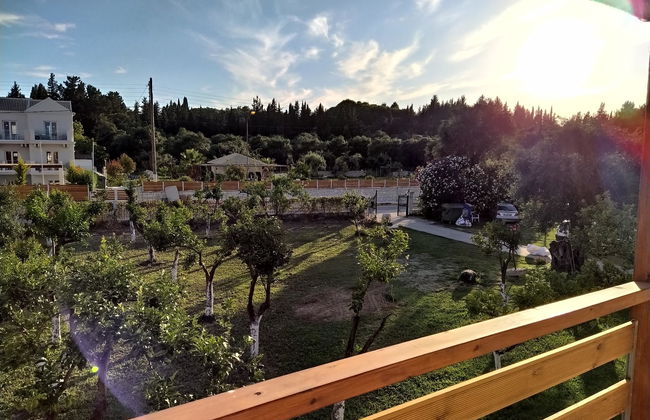 Ever Green - Foto 15