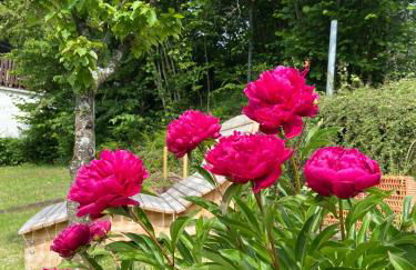 Apartmenthaus RuheZeit - Foto 40