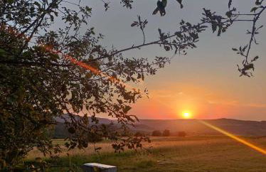 Jabłoniowy Sad Kalwaria Pacławska - Foto 31