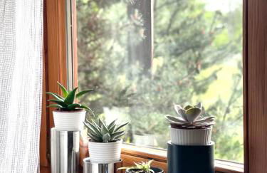 Viktor Apartment - Foto 6