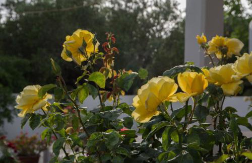 Ianthe Apartment - Foto 66