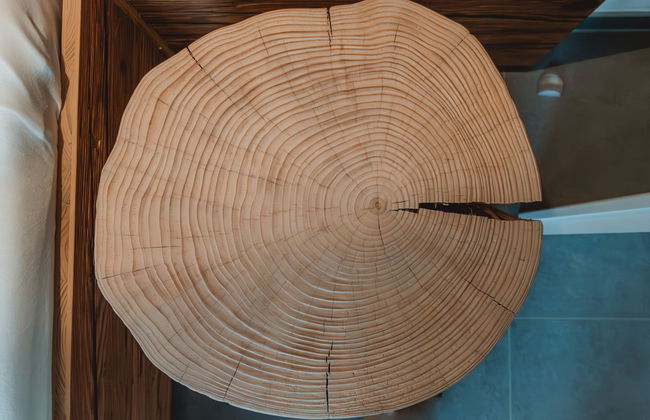 Das Georgen, Schmitten - Foto 18