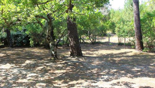 Villa landaise avec jardin proche plages et commerces, 3 chambres, terrasse couverte et barbecue - FR-1-736-10 - Foto 3