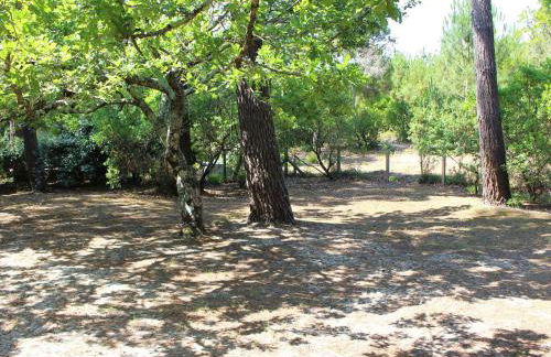 Villa landaise avec jardin proche plages et commerces, 3 chambres, terrasse couverte et barbecue - FR-1-736-10 - Photo 3