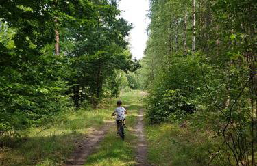 Łap Las Pelnik - Photo 77