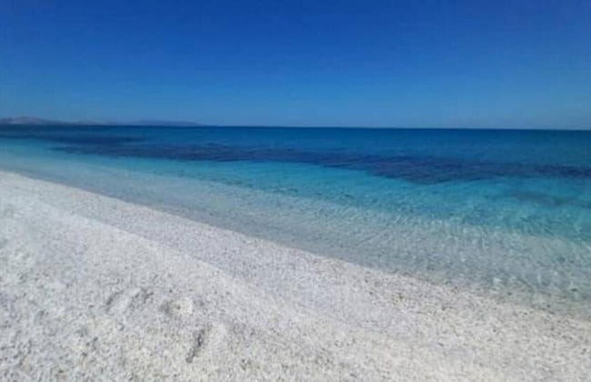 Sardinian Villa Enjoy Stintino With Your Pets ! - Photo 24