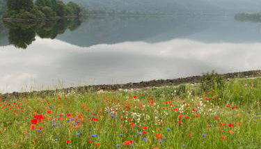 Ferienwohnungen Arnstein - Foto 5