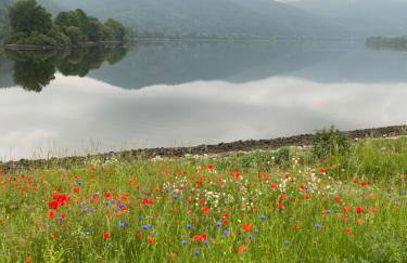 Ferienwohnungen Arnstein - Foto 5