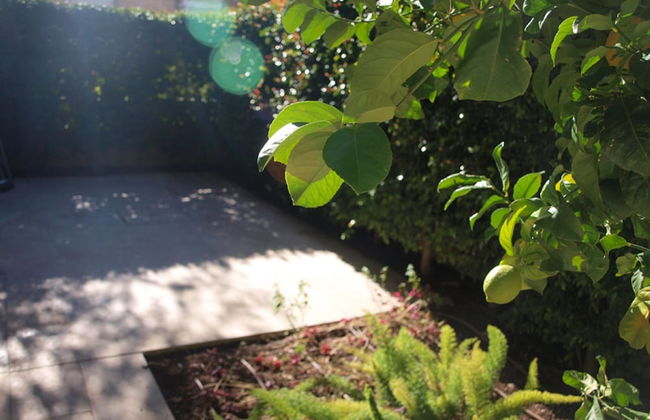 4 Yonatan - Emek Refaim - Jerusalem-Rent - Photo 11