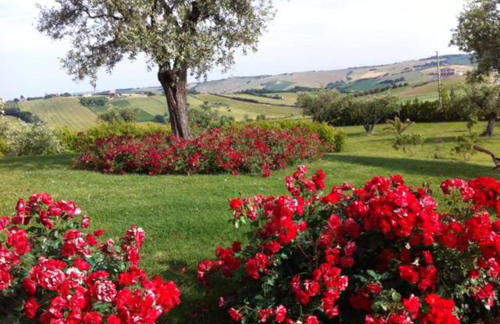 Agri Divin Amore - Foto 9