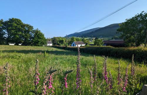 Killeavy Cottage - Foto 51