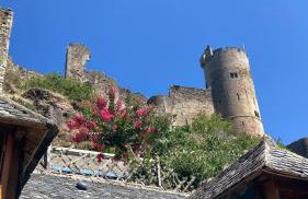 Lou Cambrou - Photo 18