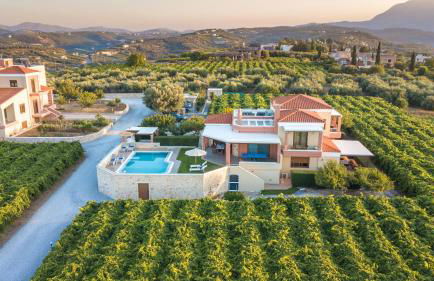 Cretan Vineyard Hill Villa 2 - Foto 1