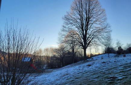 Ferienwohnung Osser Woid - Foto 20