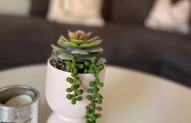 Ferienwohnung am Schloss Leipheim Nähe Legoland - Foto 7