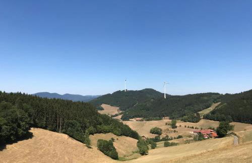 Graceland In the Black Forest - Foto 99