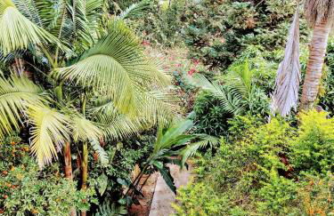 Rancho do Brutus - Foto 28