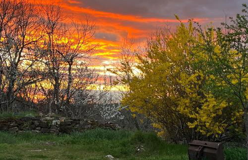 La rive du Viaur - Foto 24