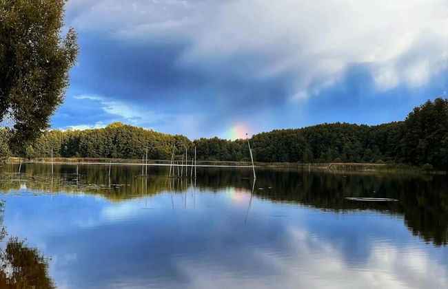 Reihenhaus mit Wlan in Buchholz am Muritzsee - Foto 55