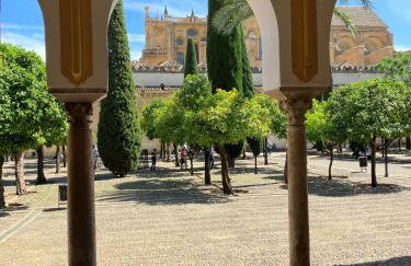 Precioso apartamento junto a la Mezquita. - Photo 37