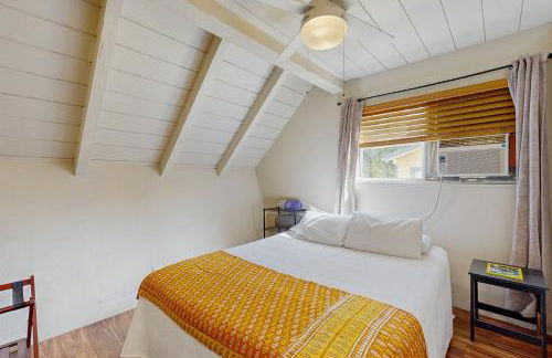 Sea Turtle Life - Photo 44