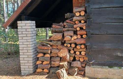 Wilga - urokliwy dom z bala (50 km od Warszawy) - Foto 21