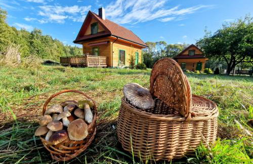 Górskie Siedlisko - 3 Chaty - Foto 13