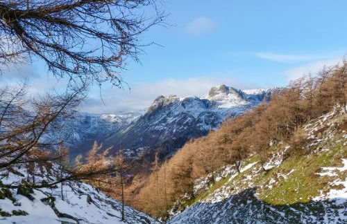 Rowan - Woodland Cottages - Foto 26