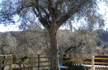 la casetta del nonno - Photo 4