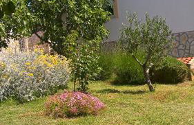 Apartments Krušvina - Foto 62