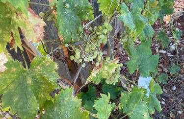 Prairie Home - Foto 19