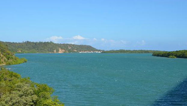 Tour to Gunga Beach - Photo 3