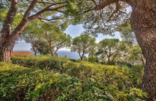 06DB Magnificent flat with incredible view Mont Boron - Foto 26