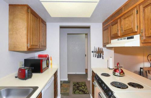 Eagle Point Ski Resort 8 Wooded Ridge Condos - Foto 9