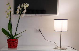 Solymar Due - Photo 26