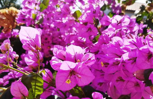 Apartment Taja - Foto 53