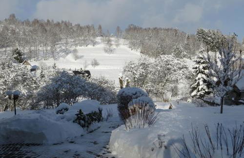 Ferienwohnungen Breternitz - Photo 20