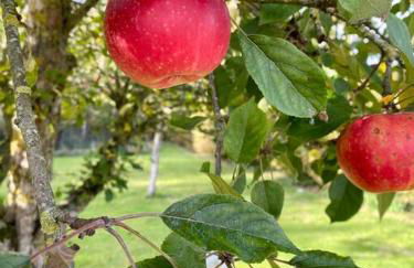 Totally Private, idyllic House with hot tub in an acre of private gardens - Foto 73