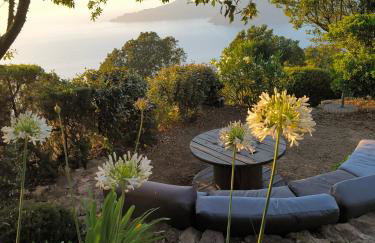 Corse Piana villa d’architecte vue exceptionnelle - Foto 31