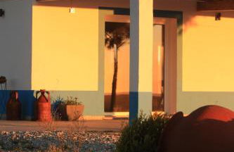 Monte Sardinha - Foto 86