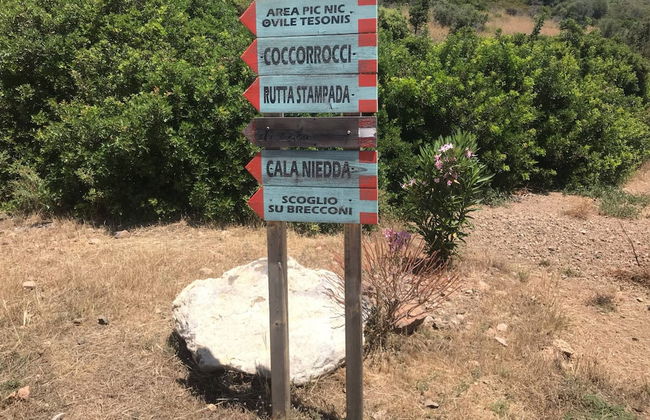 Casa Vacanze al Mare la Casa del Geco - Photo 38