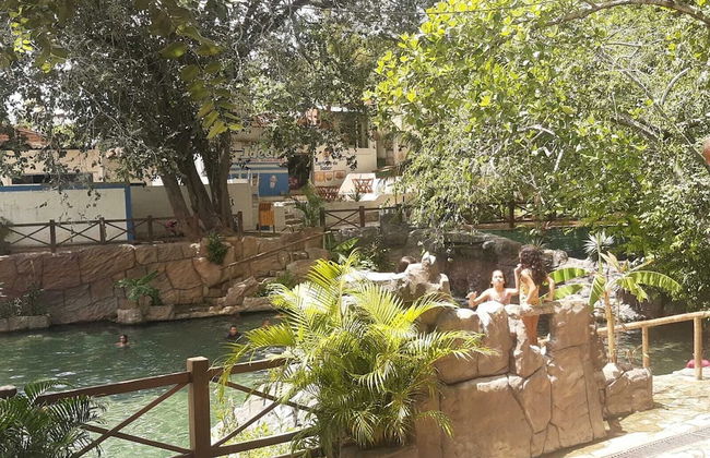 Joais do Nordeste - Foto 66