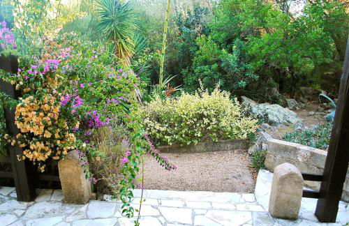 Villa 65m2 7 pers - Rondinara, Bonifacio - Foto 11