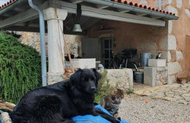 Lovrini Dvori - Photo 28