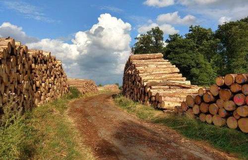 Das Hideaway zum Seele baumeln lassen ! - Foto 18