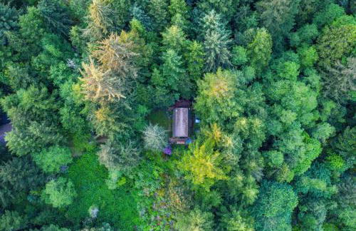 Treetop Lodge - 2 Homes on one Property! - Foto 78