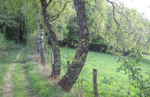 Ferienwohnung am Naturgarten - Foto 11